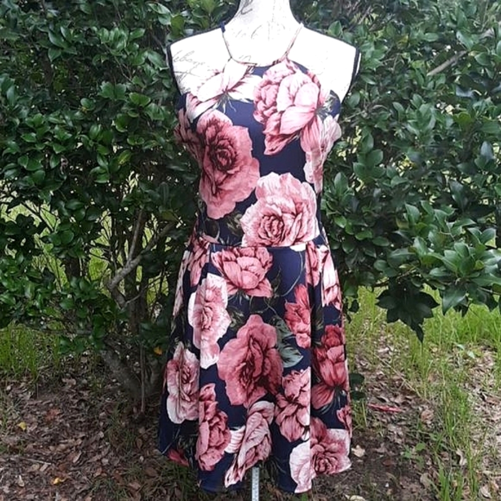 Charlotte Russe Roses Flowers Dress Navy Pinks XL